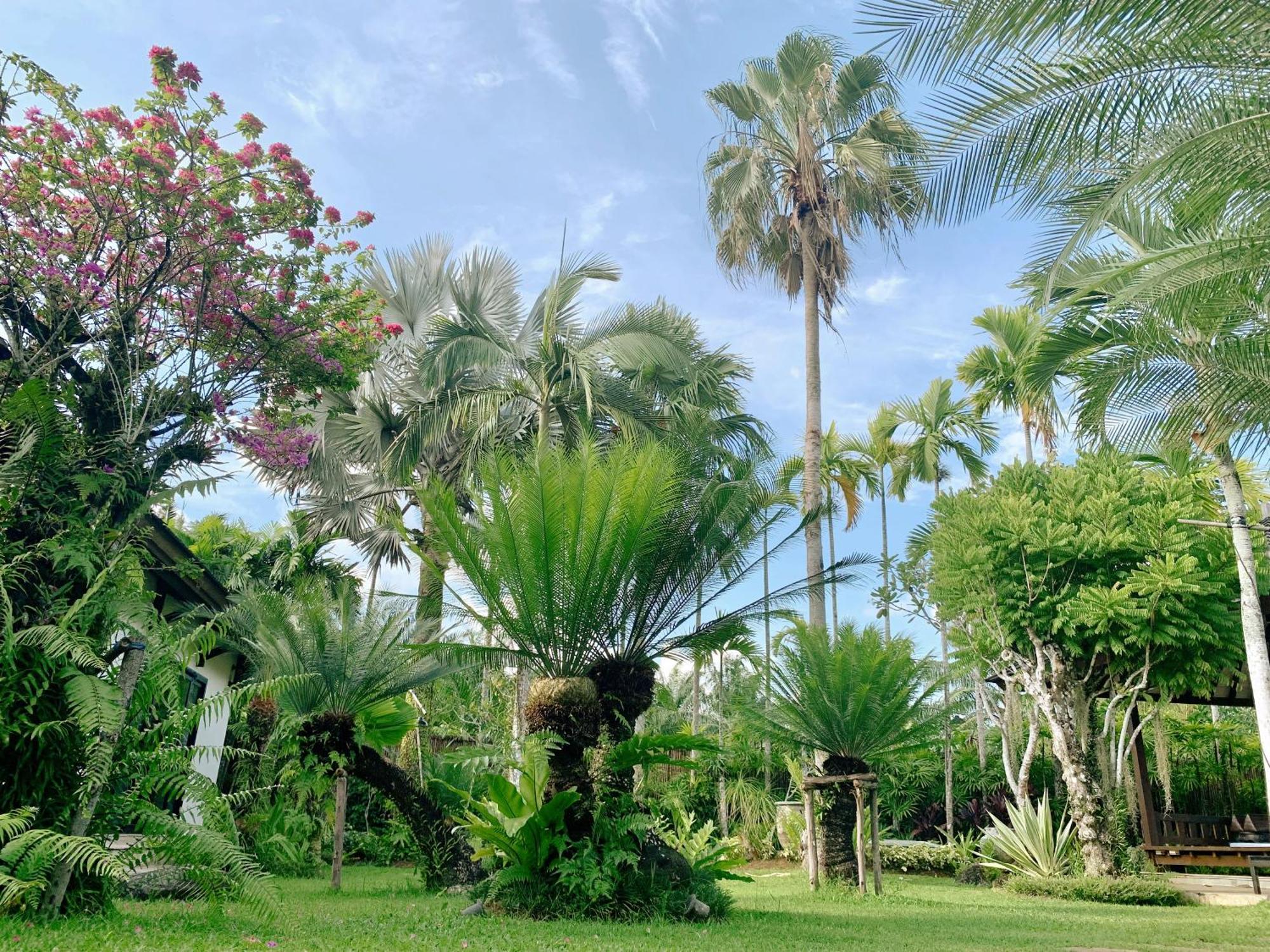 Villa Baan Pinya Balinese Style Pool Krabi town